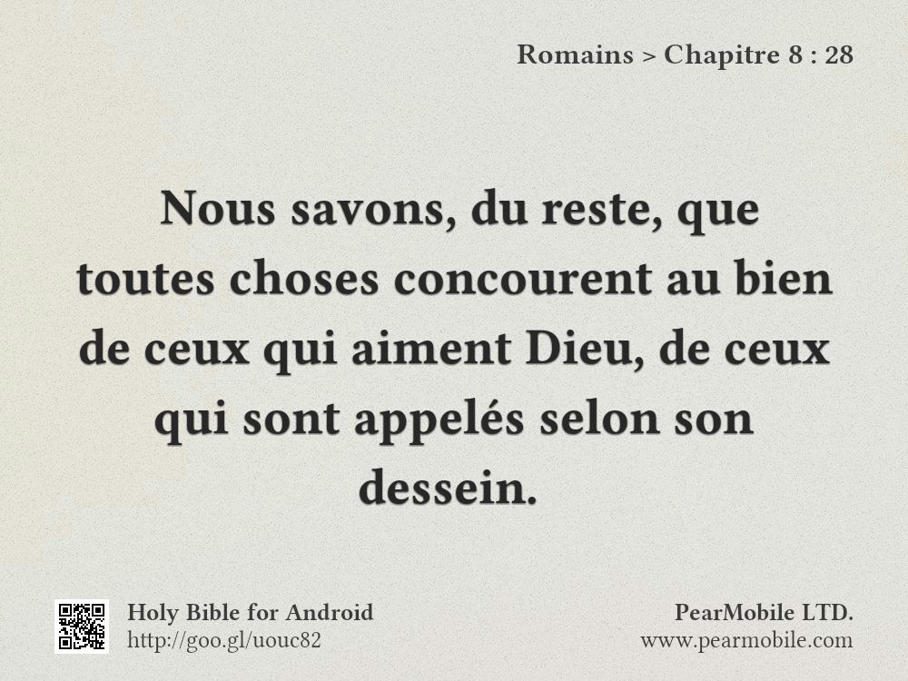 Romains, Chapitre 8:28